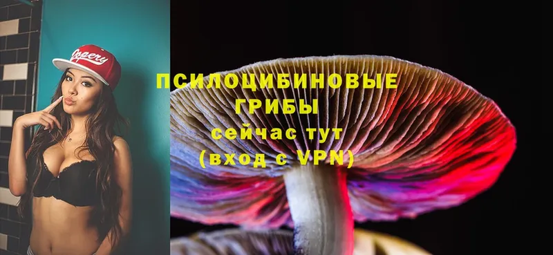 Галлюциногенные грибы Magic Shrooms Хабаровск